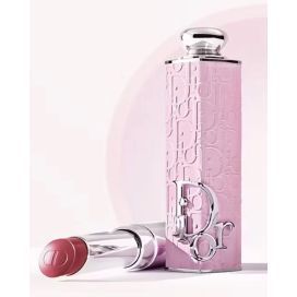 C.DIOR Addict's New Lipstick Fashion Case Rosemania