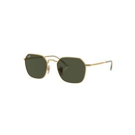Ray-ban 0rb3694 001/31 53 Arista Green