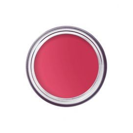 Bobbi Brown Pot Rouge Velvet Matte - Guava Punch